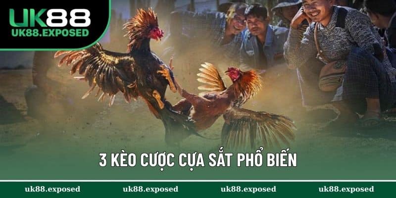 3 kèo cược cựa sắt phổ biến