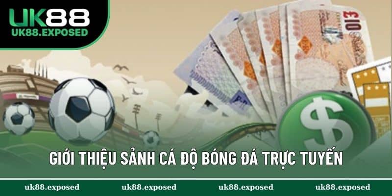 Giới thiệu sảnh cá độ bóng đá trực tuyến