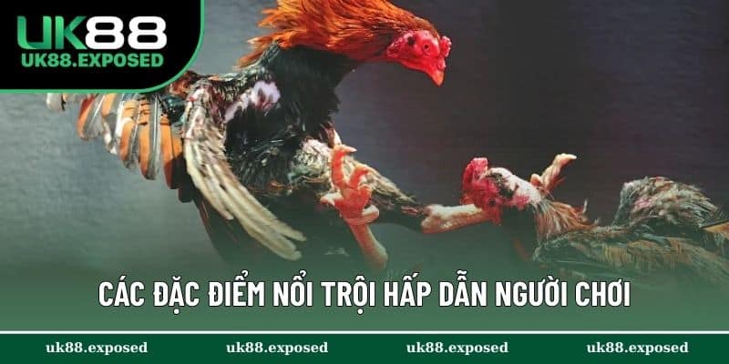 Các đặc điểm nổi trội hấp dẫn người chơi