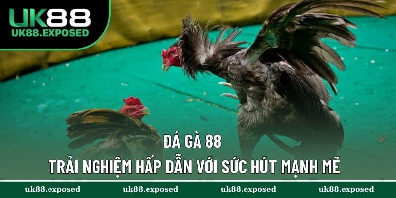 Đá Gà 88